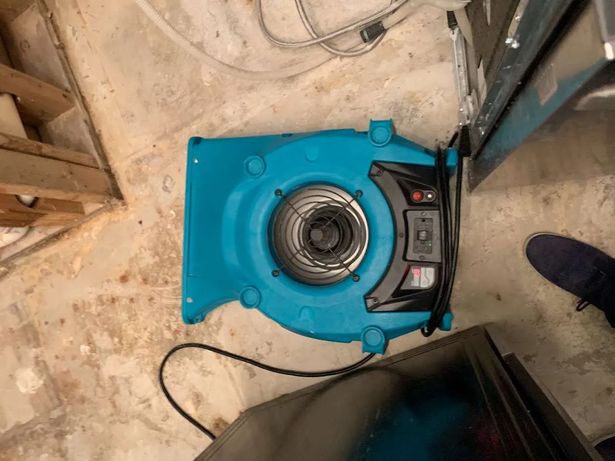 Air mover drying equipment for Mold Remediation & Removal in Hondo